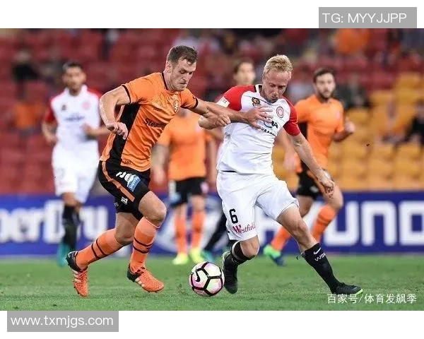 纽喷气机与布里斯班历史交锋记录分析及比分回顾