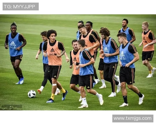 阿尔巴尼亚与土耳其足球比赛精彩对决引发球迷热议