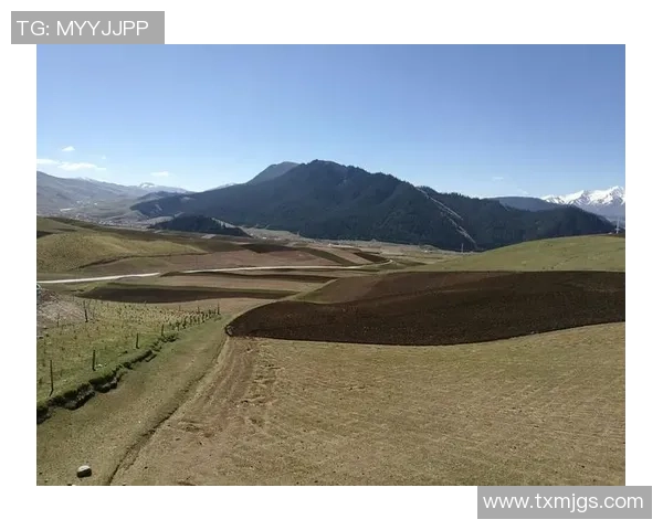 【聚集十五运会·青海时间】青海“小李广”纷繁上赛场